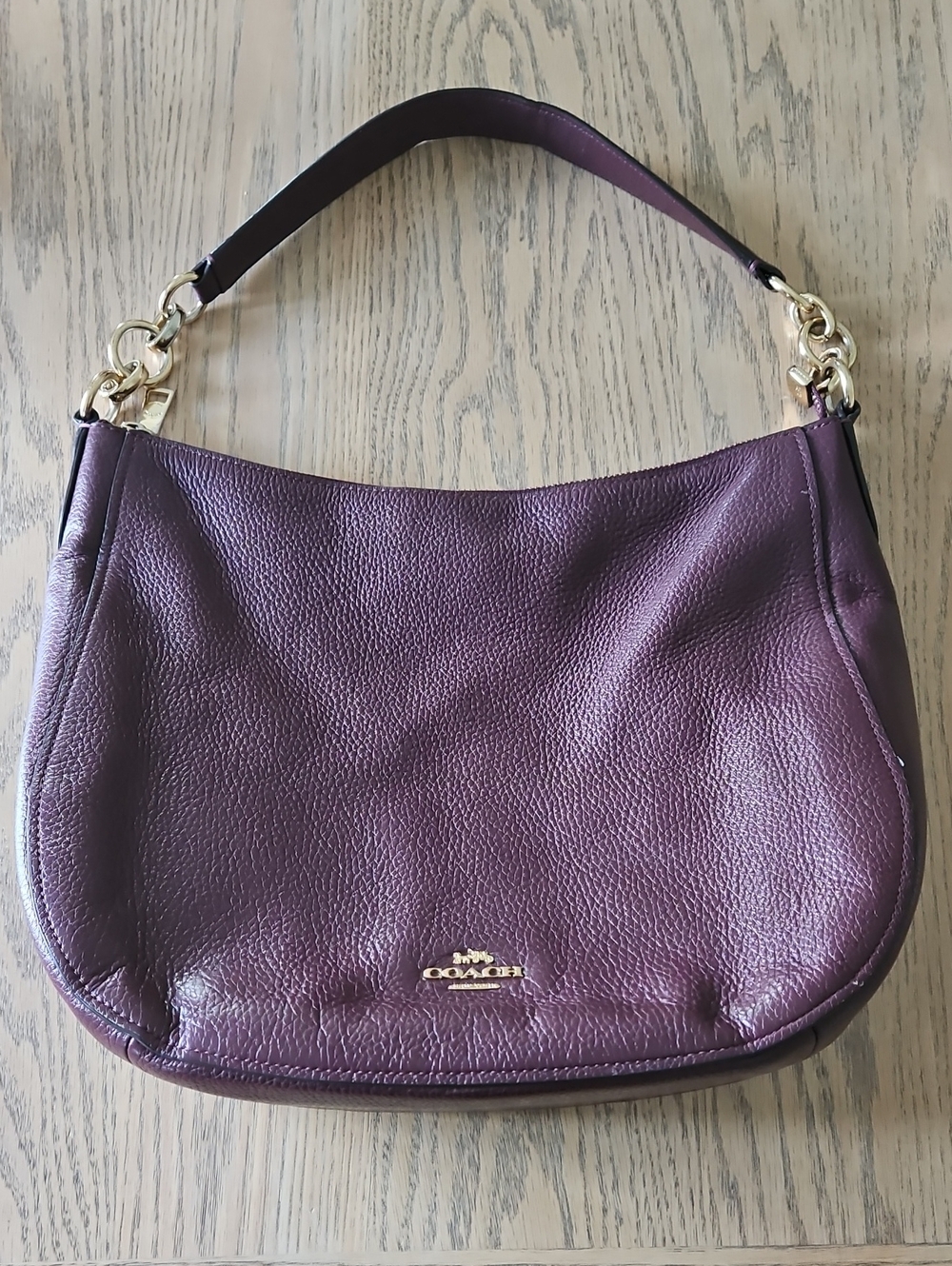 Coach Elle Hobo Shoulder Bag- F31399